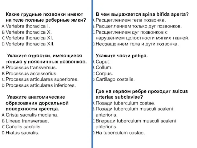 Какие грудные позвонки имеют на теле полные реберные ямки? Vertebra thoracica