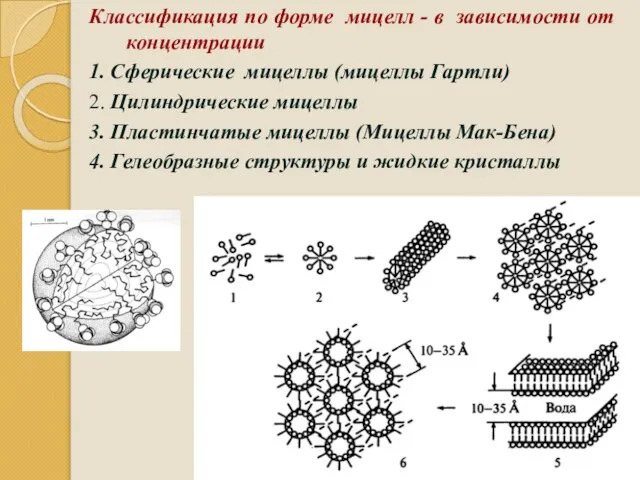 Классификация по форме мицелл - в зависимости от концентрации 1. Сферические