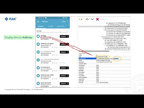 © Copyright Shenzhen RAKwireless Technology Co., Ltd. All rights reserved. Display Device Address