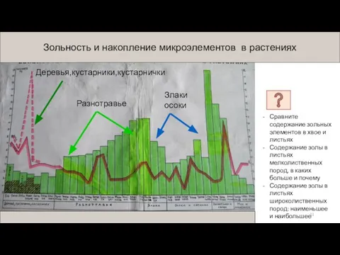 Зольность и накопление микроэлементов в растениях Разнотравье Деревья,кустарники,кустарнички Злаки осоки Сравните