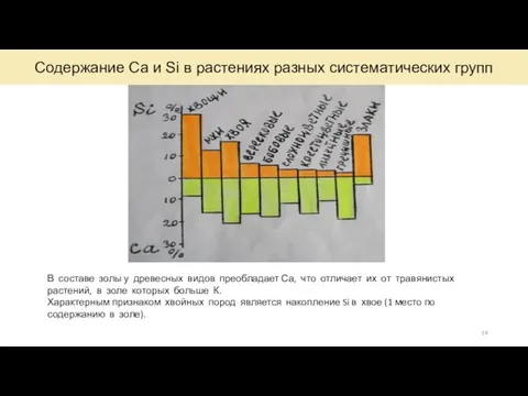 Содержание Са и Si в растениях разных систематических групп В составе