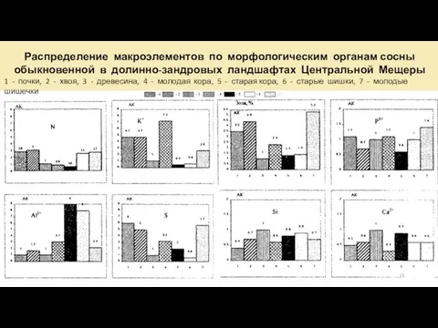 Распределение макроэлементов по морфологическим органам сосны обыкновенной в долинно-зандровых ландшафтах Центральной