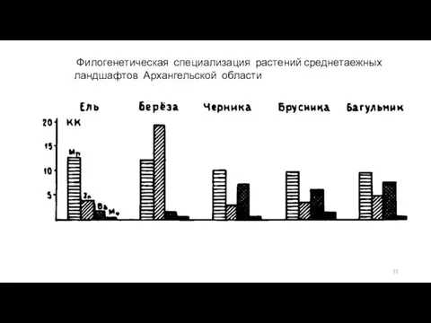 Филогенетическая специализация растений среднетаежных ландшафтов Архангельской области