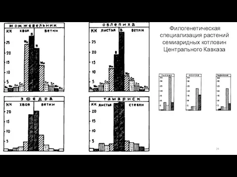 Филогенетическая специализация растений семиаридных котловин Центрального Кавказа