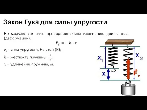 Закон Гука для силы упругости