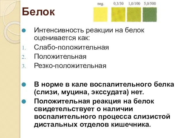 Белок Интенсивность реакции на белок оценивается как: Слабо-положительная Положительная Резко-положительная В