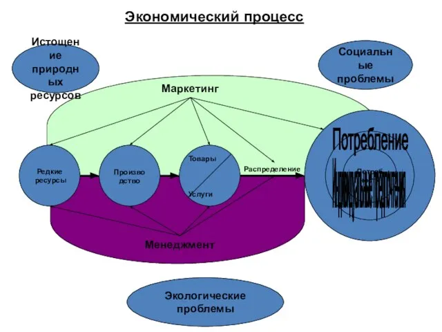 Редкие ресурсы Экологические проблемы Социальные проблемы Истощение природных ресурсов Производство Товары