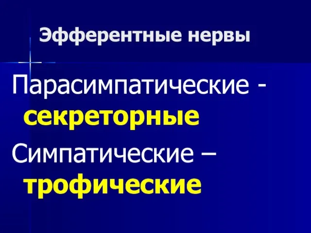 Эфферентные нервы Парасимпатические - секреторные Симпатические – трофические