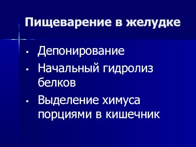 Пищеварение в желудке Депонирование Начальный гидролиз белков Выделение химуса порциями в кишечник