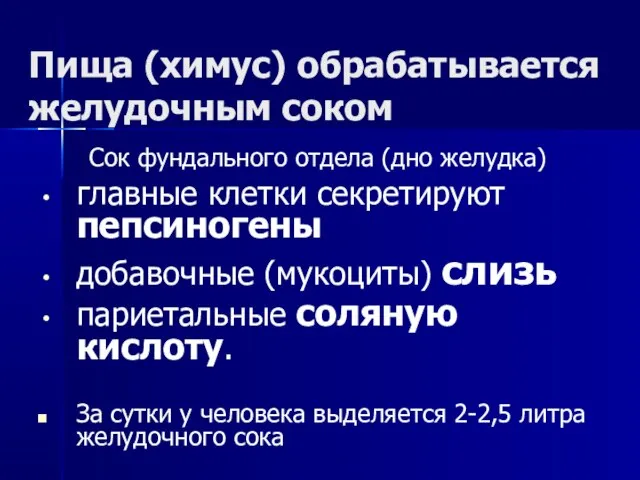 Пища (химус) обрабатывается желудочным соком Сок фундального отдела (дно желудка) главные