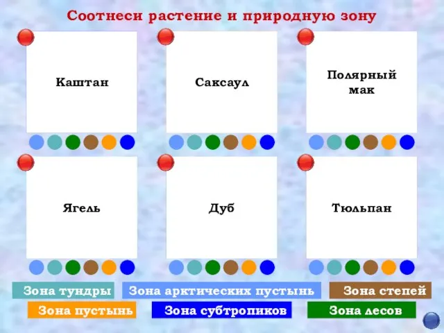 Соотнеси растение и природную зону Зона арктических пустынь Зона степей Зона