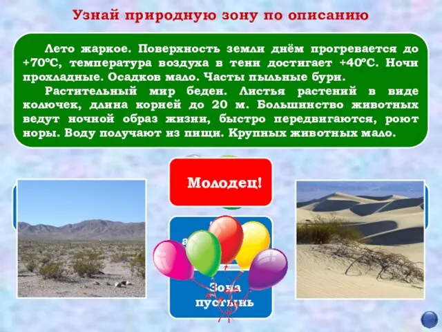 Молодец! Зона арктических пустынь Зона пустынь Зона субтропиков Зона лесов Зона