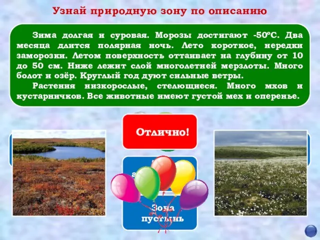 Отлично! Зона арктических пустынь Зона пустынь Зона субтропиков Зона лесов Зона