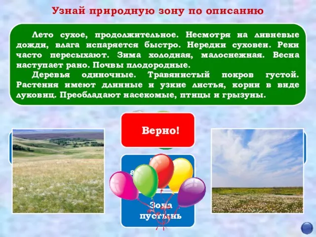 Верно! Зона арктических пустынь Зона пустынь Зона субтропиков Зона лесов Зона