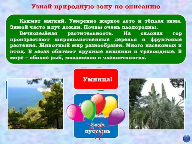 Умница! Зона арктических пустынь Зона пустынь Зона субтропиков Зона лесов Зона