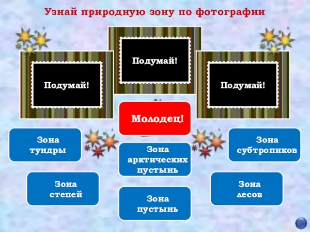 Подумай! Подумай! Подумай! Узнай природную зону по фотографии Зона арктических пустынь