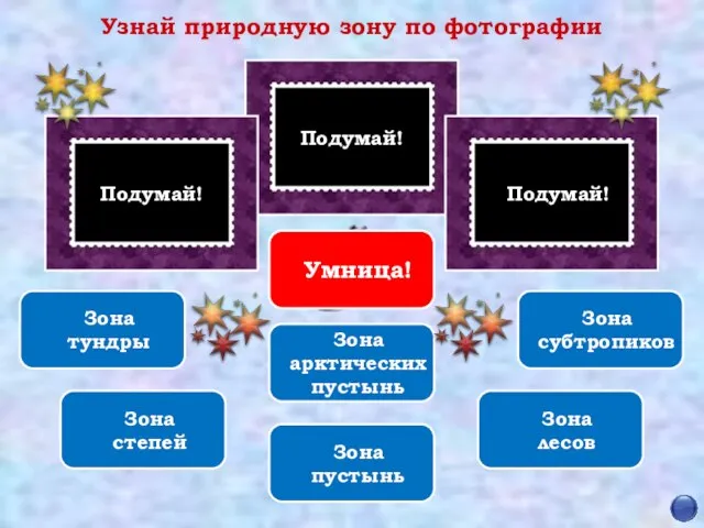 Подумай! Подумай! Подумай! Узнай природную зону по фотографии Зона арктических пустынь