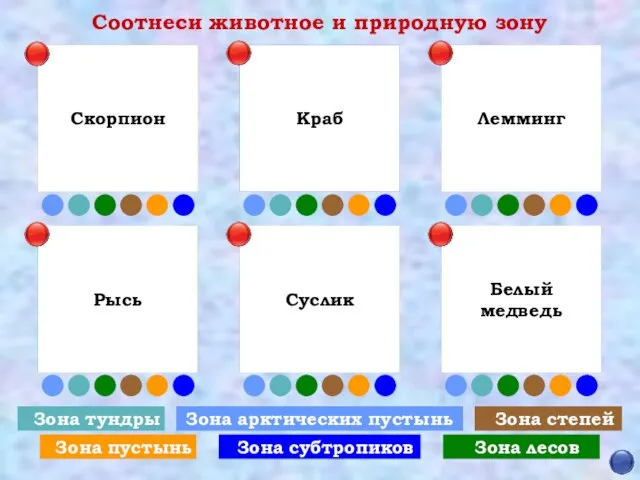 Соотнеси животное и природную зону Зона арктических пустынь Зона степей Зона