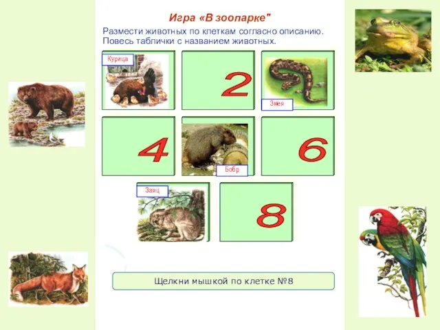 Размести животных по клеткам согласно описанию. Повесь таблички с названием животных.