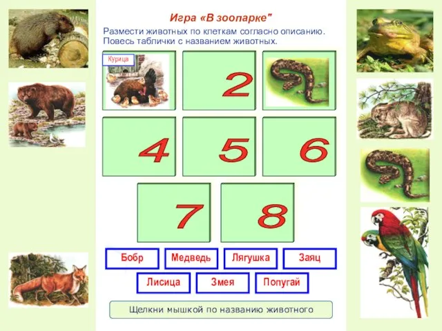 Размести животных по клеткам согласно описанию. Повесь таблички с названием животных.