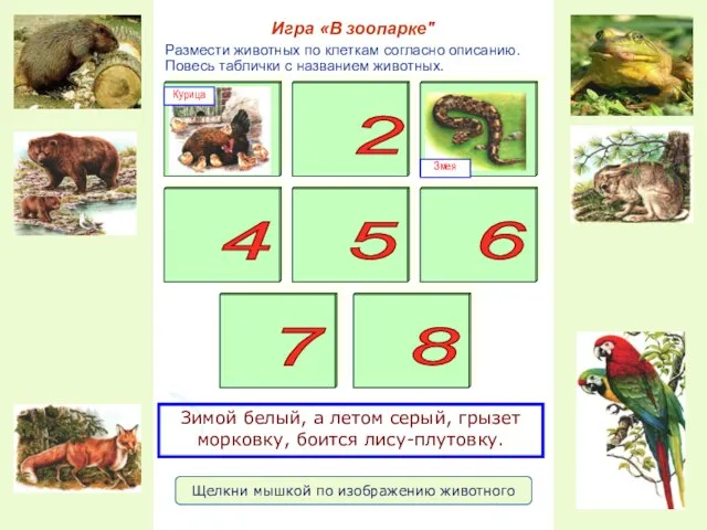 Размести животных по клеткам согласно описанию. Повесь таблички с названием животных.