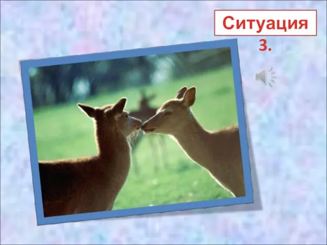 Ситуация 3.