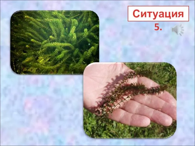 Ситуация 5.