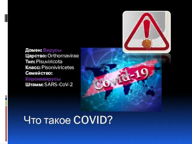 Что такое COVID? Домен: Вирусы Царство: Orthornavirae Тип: Pisuviricota Класс: Pisoniviricetes Семейство: Коронавирусы Штамм: SARS-CoV-2