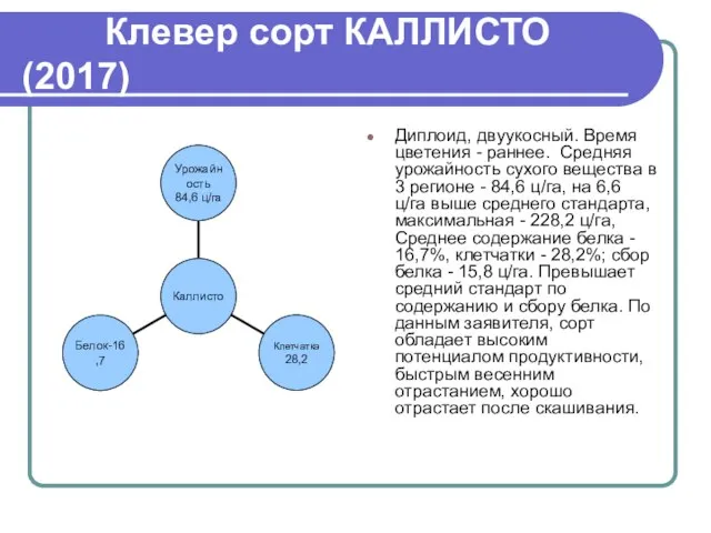 Клевер сорт КАЛЛИСТО (2017) Диплоид, двуукосный. Время цветения - раннее. Средняя