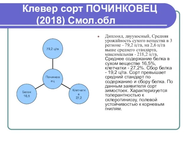 Клевер сорт ПОЧИНКОВЕЦ (2018) Смол.обл Диплоид, двуукосный, Средняя урожайность сухого вещества