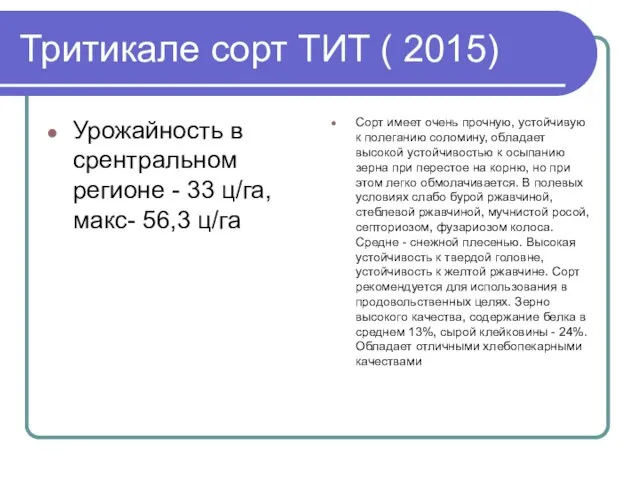 Тритикале сорт ТИТ ( 2015) Урожайность в срентральном регионе - 33