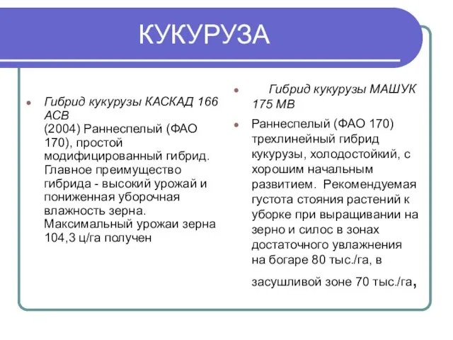 КУКУРУЗА Гибрид кукурузы КАСКАД 166 АСВ (2004) Раннеспелый (ФАО 170), простой