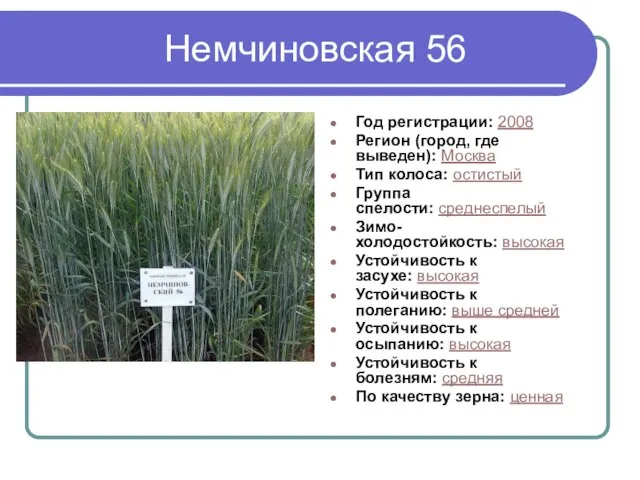 Немчиновская 56 Год регистрации: 2008 Регион (город, где выведен): Москва Тип