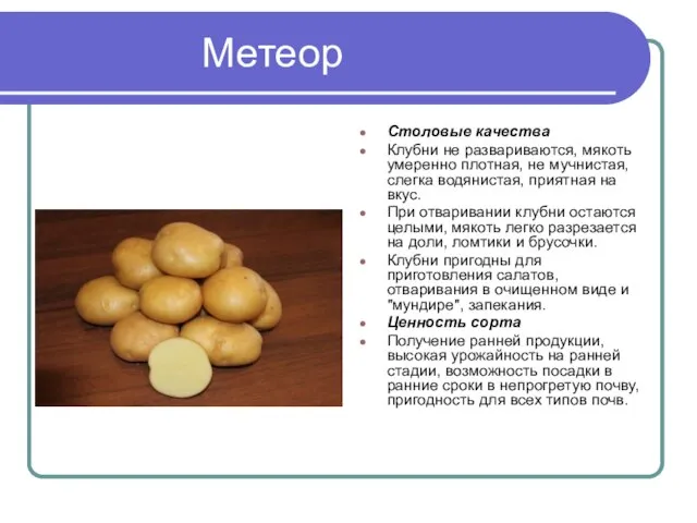 Метеор Столовые качества Клубни не развариваются, мякоть умеренно плотная, не мучнистая,