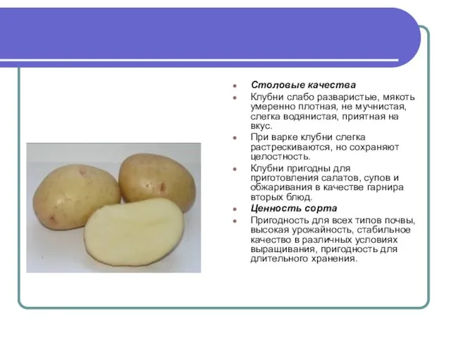 Столовые качества Клубни слабо разваристые, мякоть умеренно плотная, не мучнистая, слегка