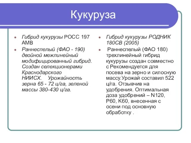 Кукуруза Гибрид кукурузы РОСС 197 АМВ Раннеспелый (ФАО - 190) двойной