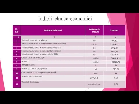 Indicii tehnico-economici