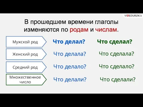 Что делал? Что сделал? Что делала? Что сделала? Что делало? Что