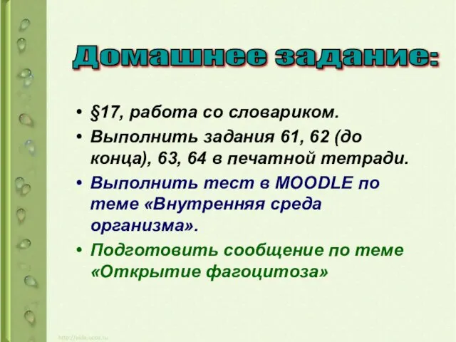 §17, работа со словариком. Выполнить задания 61, 62 (до конца), 63,