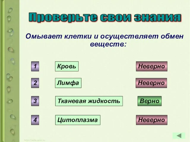 Омывает клетки и осуществляет обмен веществ: Кровь Лимфа Тканевая жидкость Цитоплазма