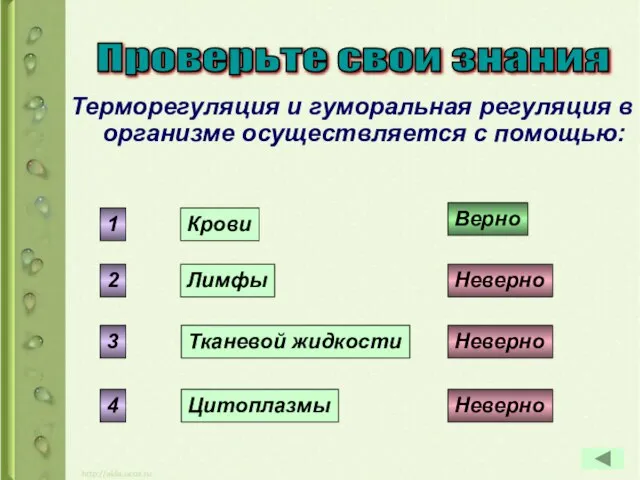 Терморегуляция и гуморальная регуляция в организме осуществляется с помощью: Крови Лимфы