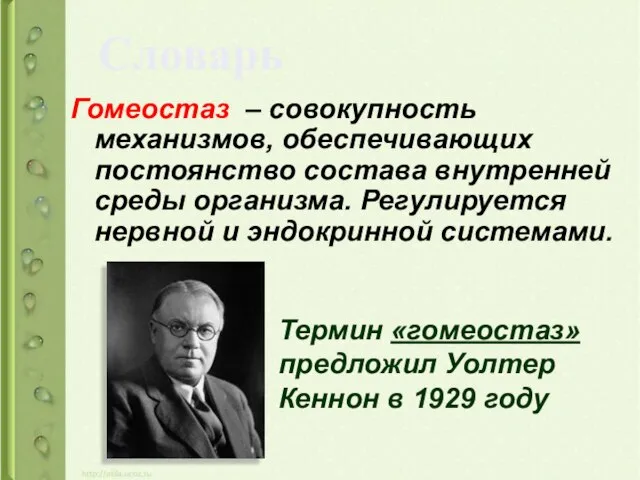 Гомеостаз – совокупность механизмов, обеспечивающих постоянство состава внутренней среды организма. Регулируется