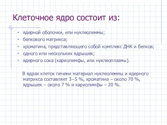 Клеточное ядро состоит из: ядерной оболочки, или нуклеолеммы; белкового матрикса; хроматина,