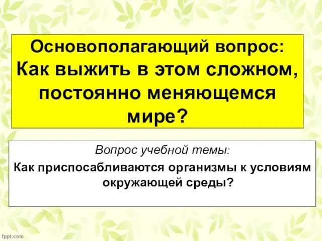 Основополагающий вопрос: Как выжить в этом сложном, постоянно меняющемся мире? Вопрос