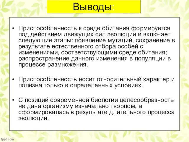 Выводы: Приспособленность к среде обитания формируется под действием движущих сил эволюции