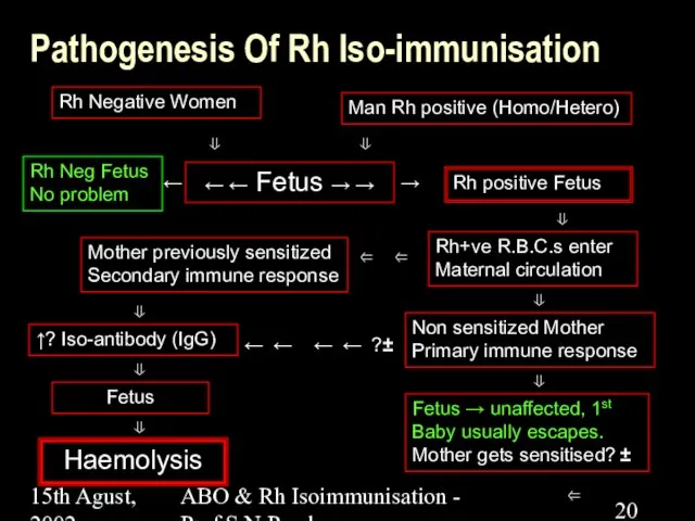 15th Agust, 2002 ABO & Rh Isoimmunisation - Prof.S.N.Panda Pathogenesis Of