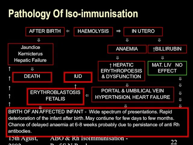 15th Agust, 2002 ABO & Rh Isoimmunisation - Prof.S.N.Panda Pathology Of