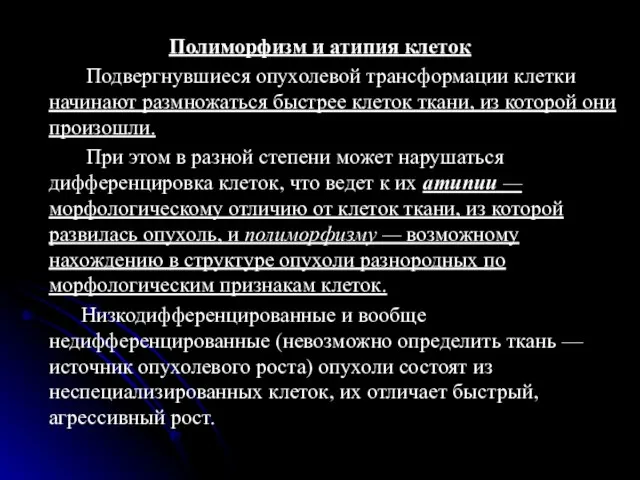 Полиморфизм и атипия клеток Подвергнувшиеся опухолевой трансформации клетки начинают размножаться быстрее