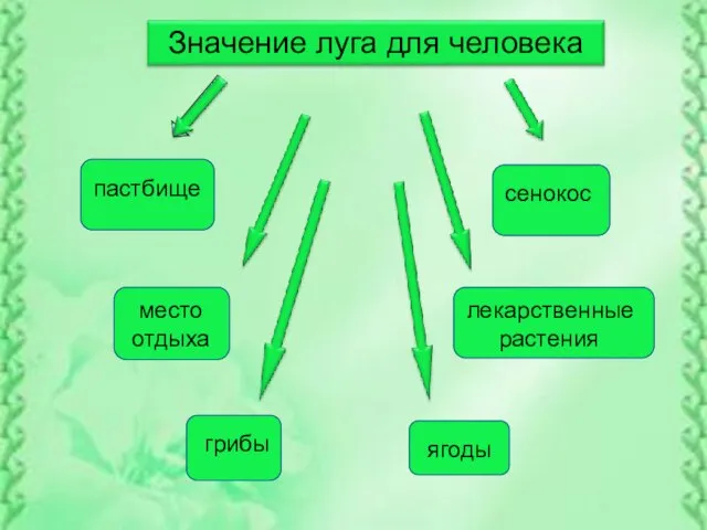 пастбище сенокос место отдыха лекарственные растения грибы ягоды