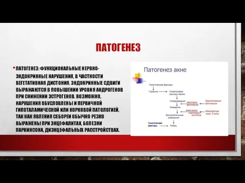 ПАТОГЕНЕЗ ПАТОГЕНЕЗ: ФУНКЦИОНАЛЬНЫЕ НЕРВНО-ЭНДОКРИННЫЕ НАРУШЕНИЯ, В ЧАСТНОСТИ ВЕГЕТАТИВНАЯ ДИСТОНИЯ. ЭНДОКРИННЫЕ СДВИГИ